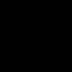 Meet your Posher, Bianca